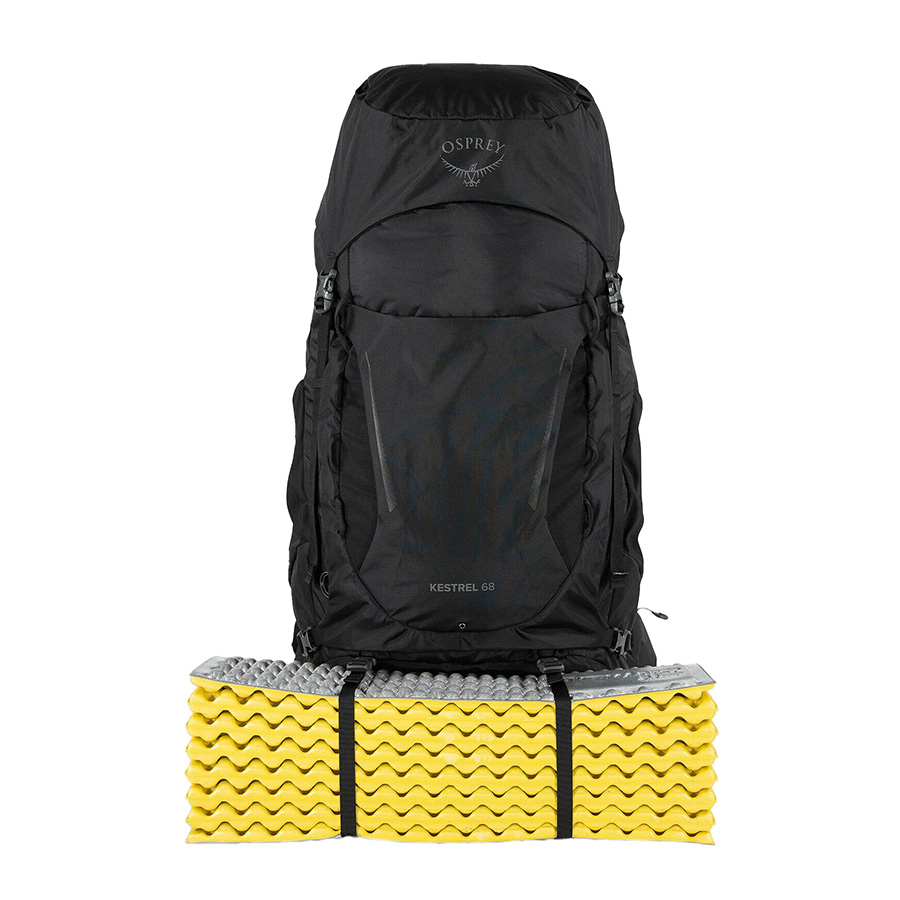 Osprey Kestrel 68 