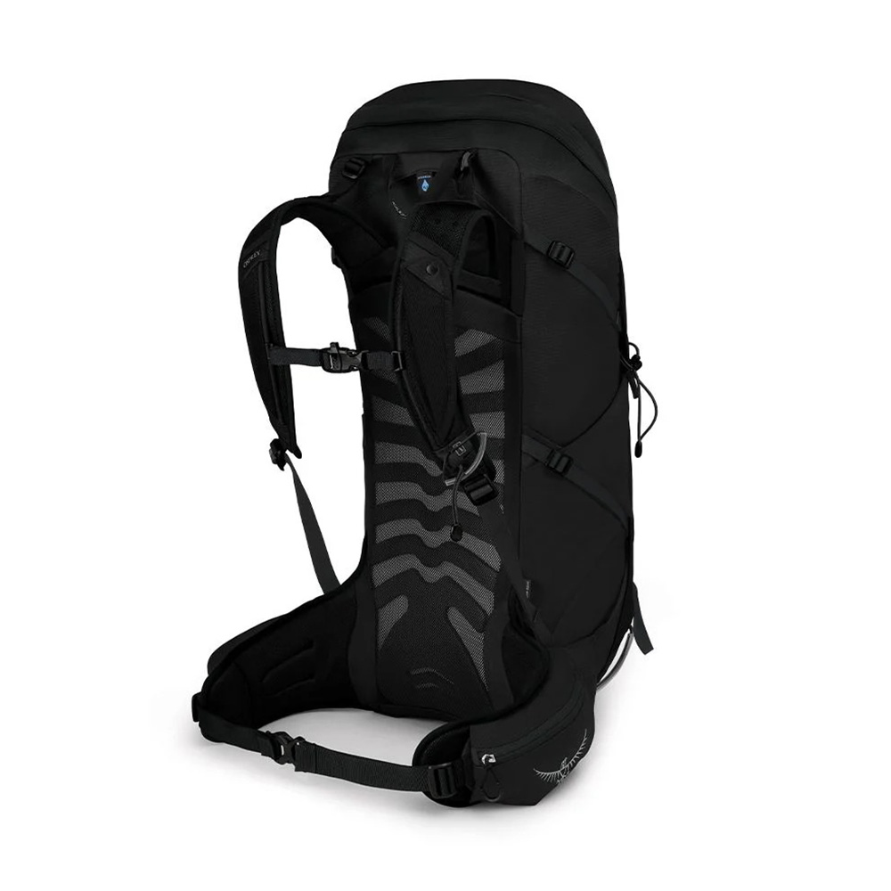 Osprey Talon 36