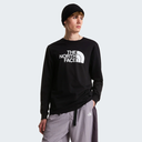 The North Face Evolution Half Dome Regular Long Sleeve Tee